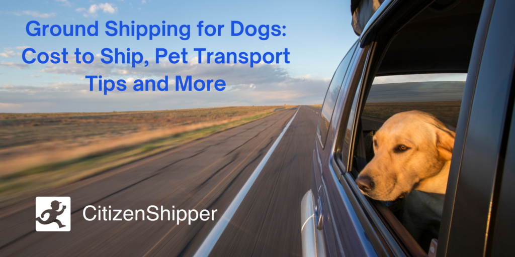 Ground Shipping for Dogs Cost to Ship, Pet Transport Tips and More CitizenShipper Blog