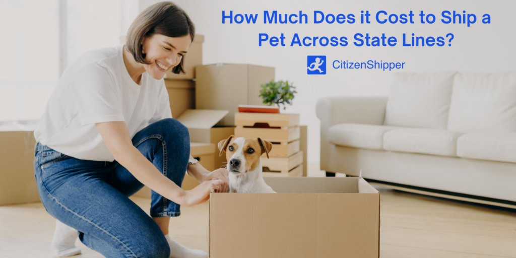 Shipping, Pet, State Lines