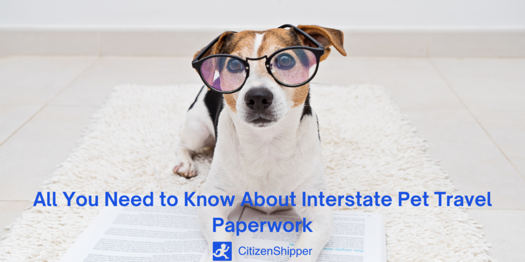 All you need to know about interstate pet travel paperwork.
