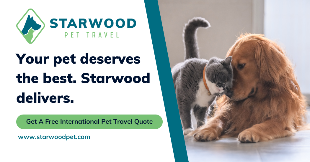 Starwood Pet Travel advertisement showing a dog and cat nuzzling next to text promoting pet travel services, including flying a dog internationally.