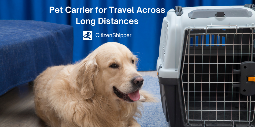 Travel pet carrier.