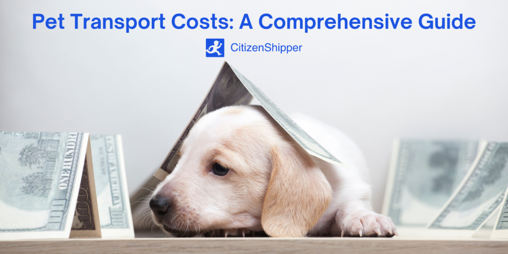 Guide to Pet Transport Costs.