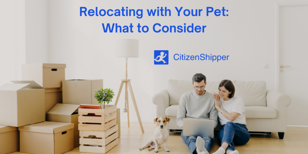 Things to consider when relocating with your furry companion.
