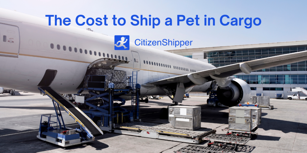 How Much Does it Cost Per Mile to Ship a Dog?