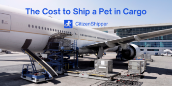 Shipping, pet