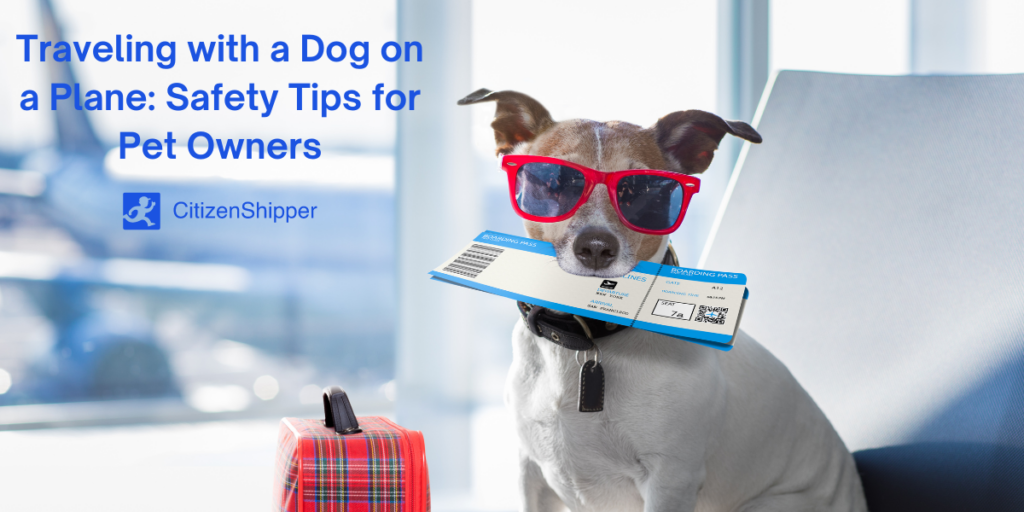 Safety tips, dog, plane.