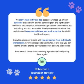 Rebecca H. left a glowing Trustpilot review for a pet transportation service, highlighting its reliability, ease of use, and the immediate availability of driver information. She appreciates the convenience compared to navigating airlines that allow dogs in cargo and expresses her eagerness to use the service again.