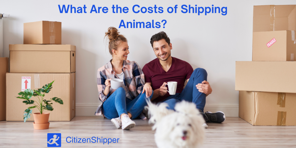 Animal Transport Service to All 50 States CitizenShipper Blog