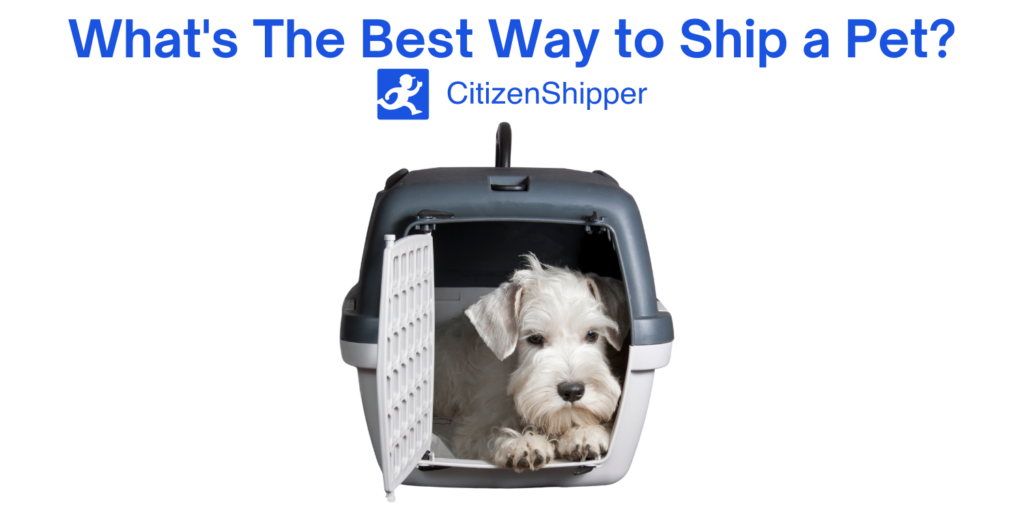 Best method for pet shipping.