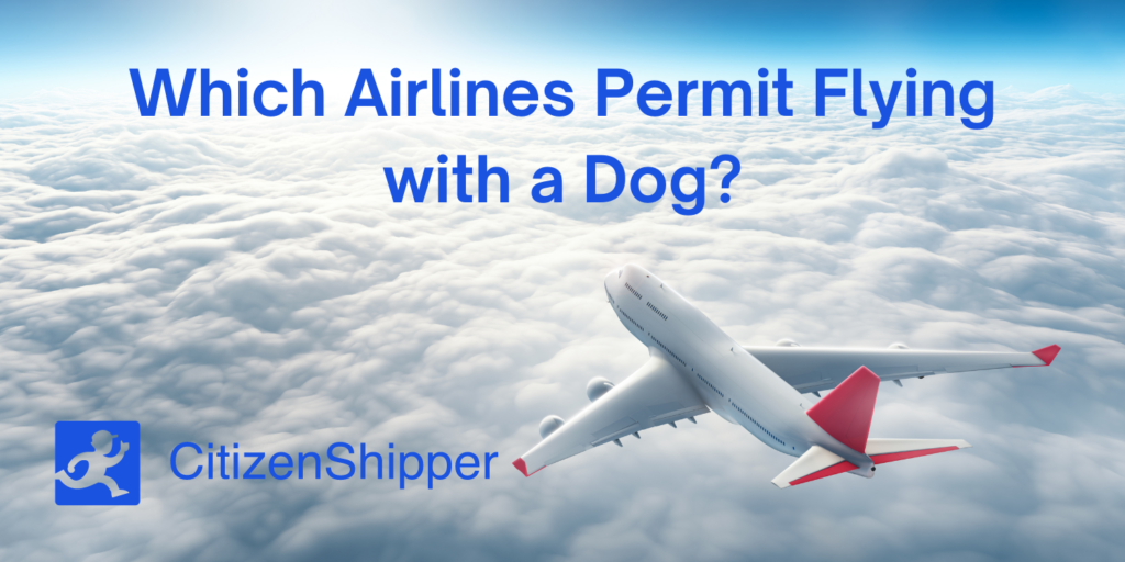 Flying Your Dog by Air in 2023 What Airlines Offer Cargo Options?