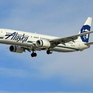 Alaska Airlines is one of the best carriers to ship your cat.