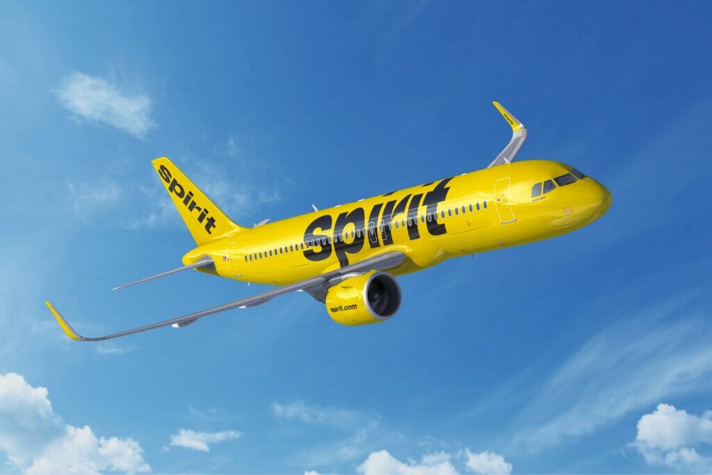 Spirit Airlines Pet Policy 2023 Rules for Dogs, Cats and More