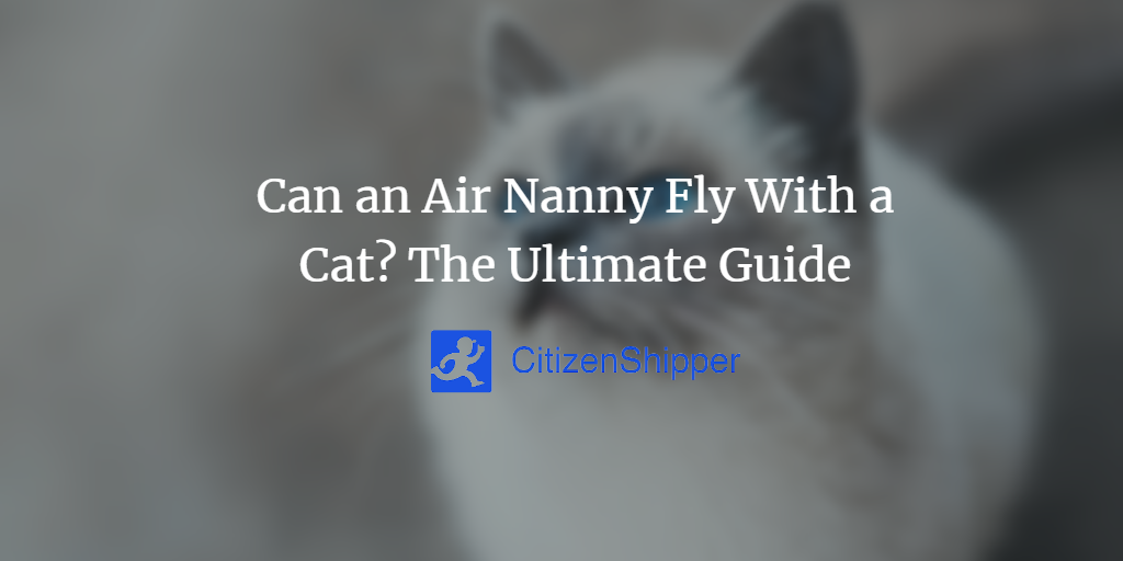 Can an Air Nanny Fly With a Cat? The Ultimate Guide