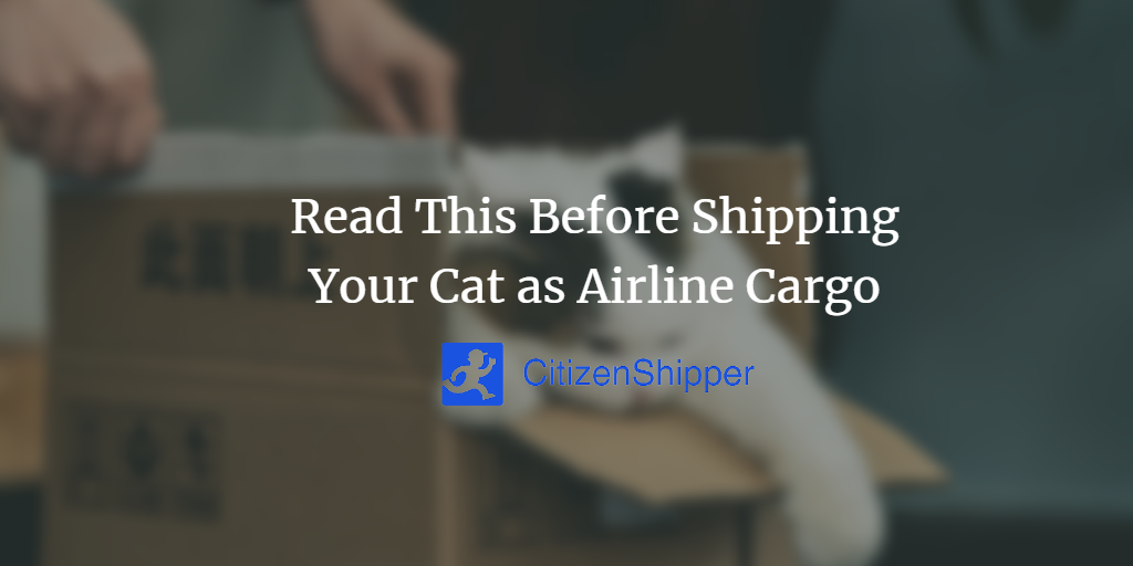 https://citizenshipper.com/blog/furniture-shipping-company