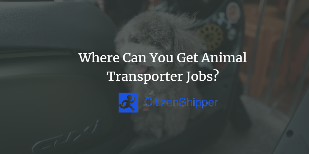 Where Can You Get Animal Transporter Jobs?