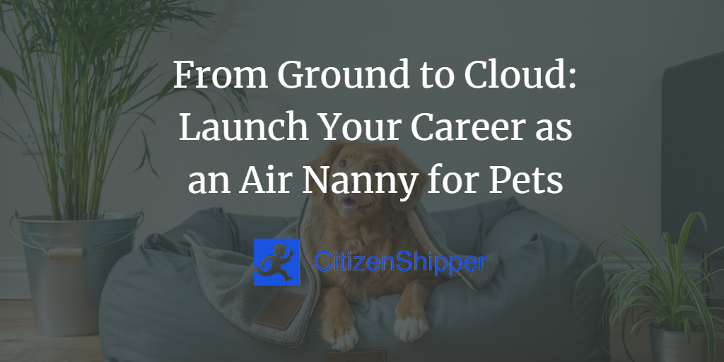From Ground to Cloud Launch Your Career as an Air Nanny for Pets