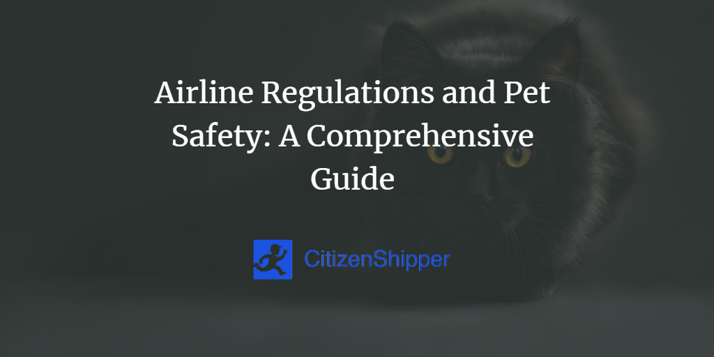 Airline Regulations and Pet Safety A Comprehensive Guide