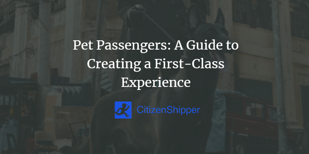 Pet passengers creating first-class experience.