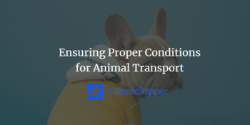 A dog wearing a jacket with the words ensuring proper conditions for animal transport.