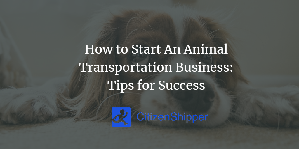 How to Start An Animal Transportation Business Tips for Success
