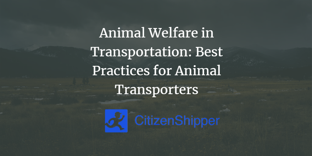 Animal Welfare in Transportation Best Practices for Animal Transporters