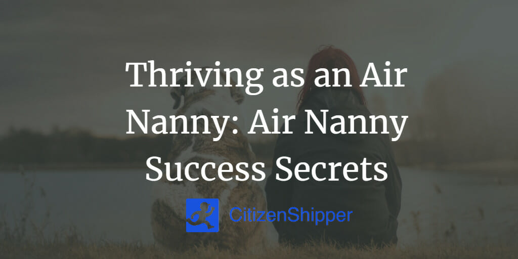 Thriving as an Air Nanny: Air Nanny Success Secrets