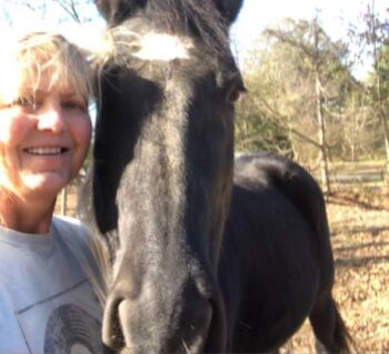 A woman stands next to a black horse, possibly in an animal transport job.