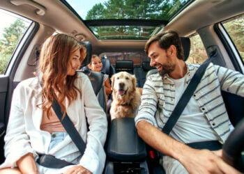 A family with their dog in the car