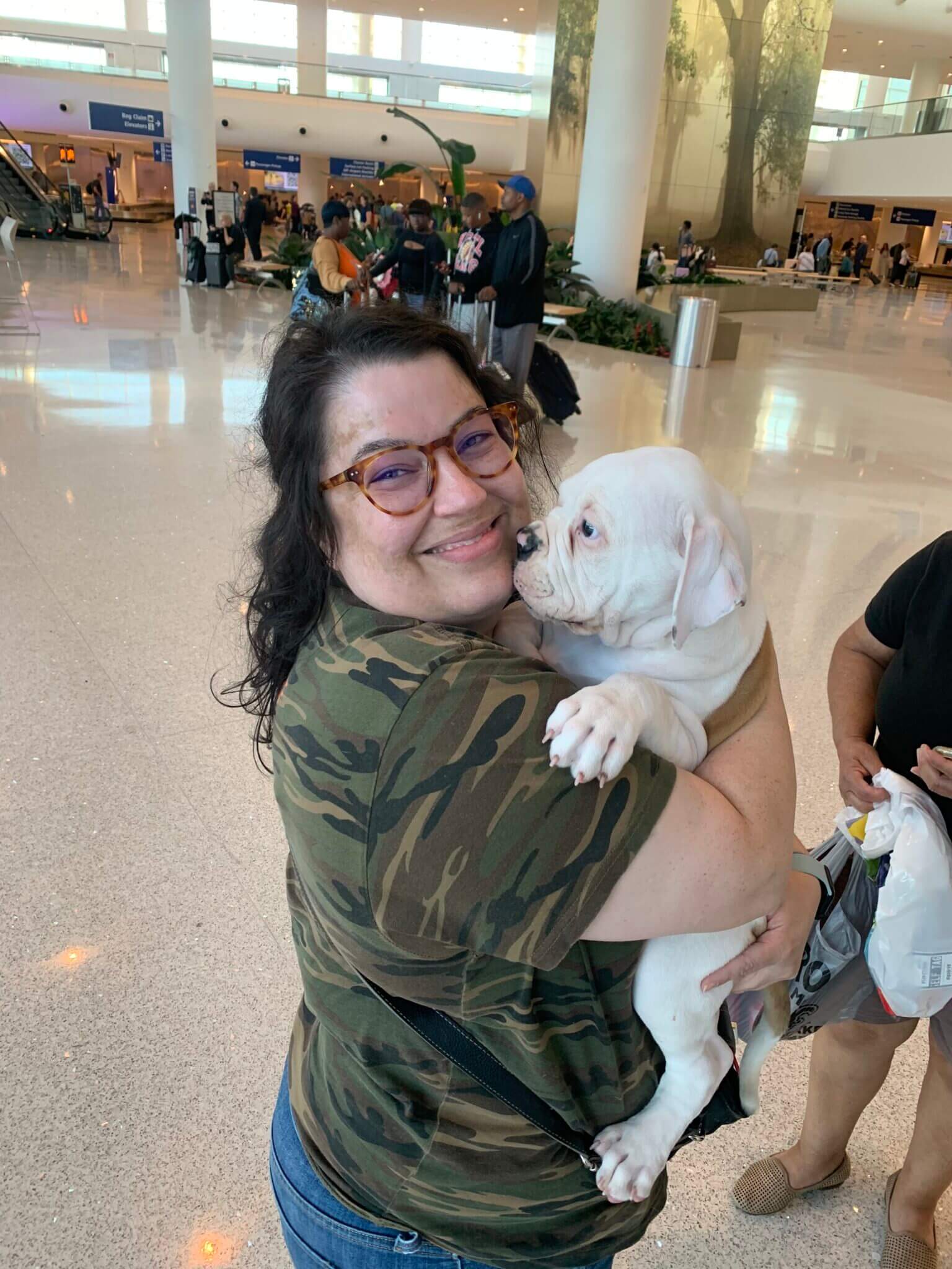 Flying with a Dog in 2026: The Ultimate Guide - Travelnuity