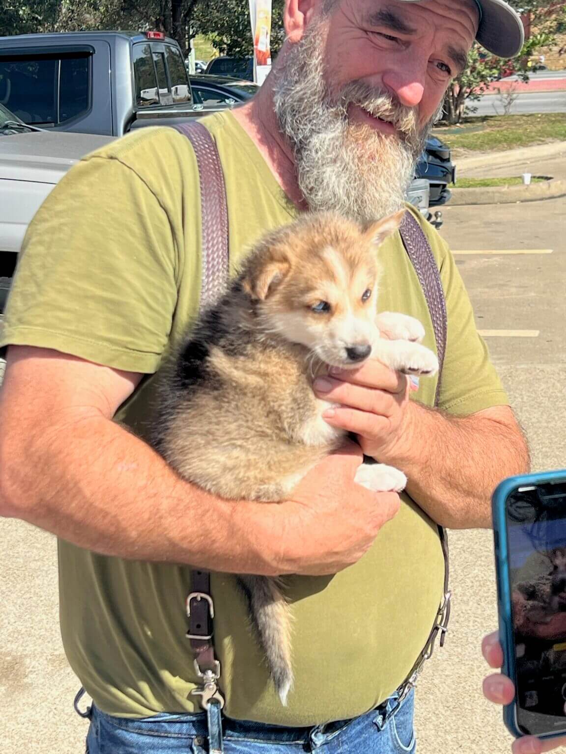 Where Can You Buy a Dog Online? CitizenShipper Blog