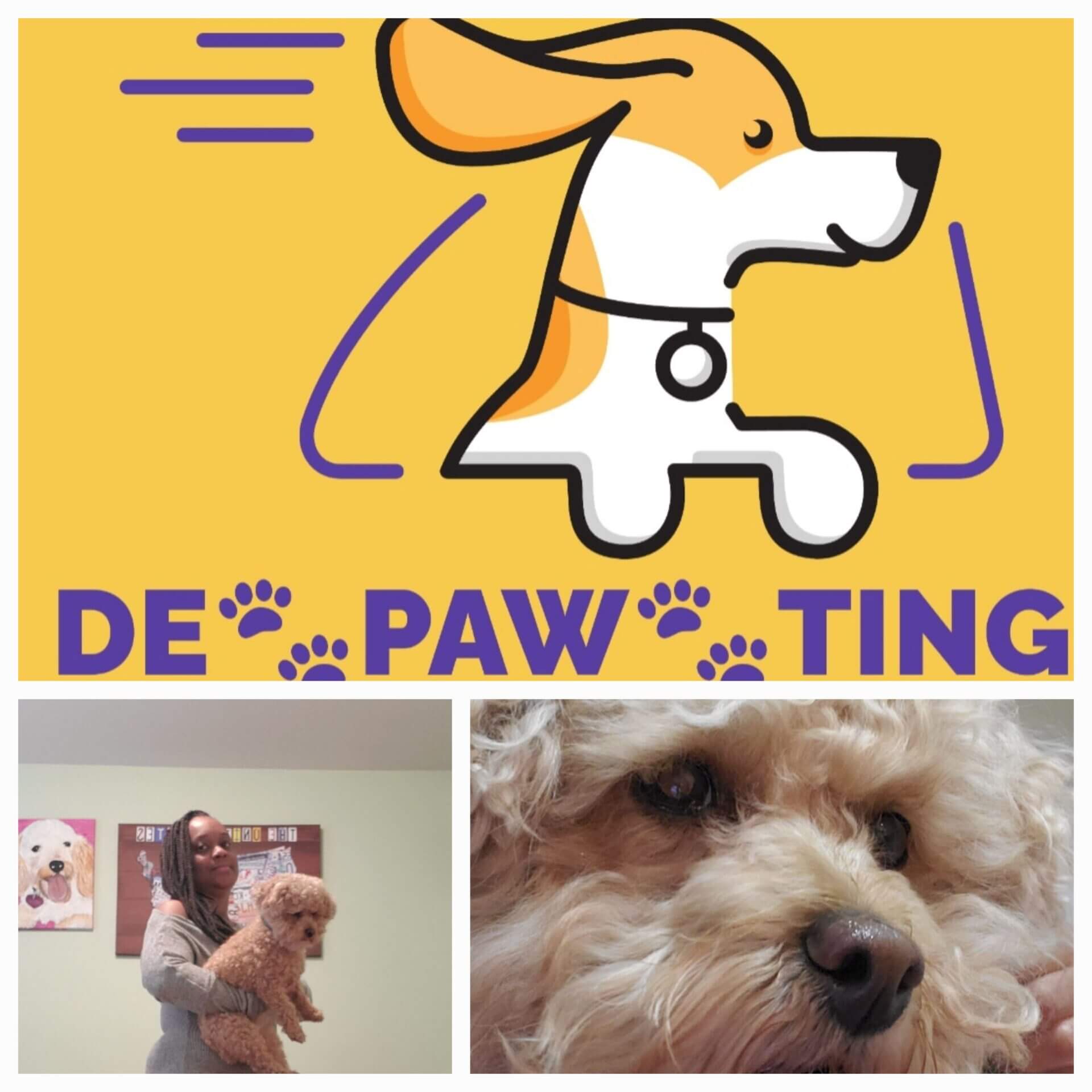 A collage features a cartoon dog with "DE PAW TING" text, a woman holding a small dog indoors, and a close-up of a fluffy dog's face—perfect for highlighting moments from a transporter interview.