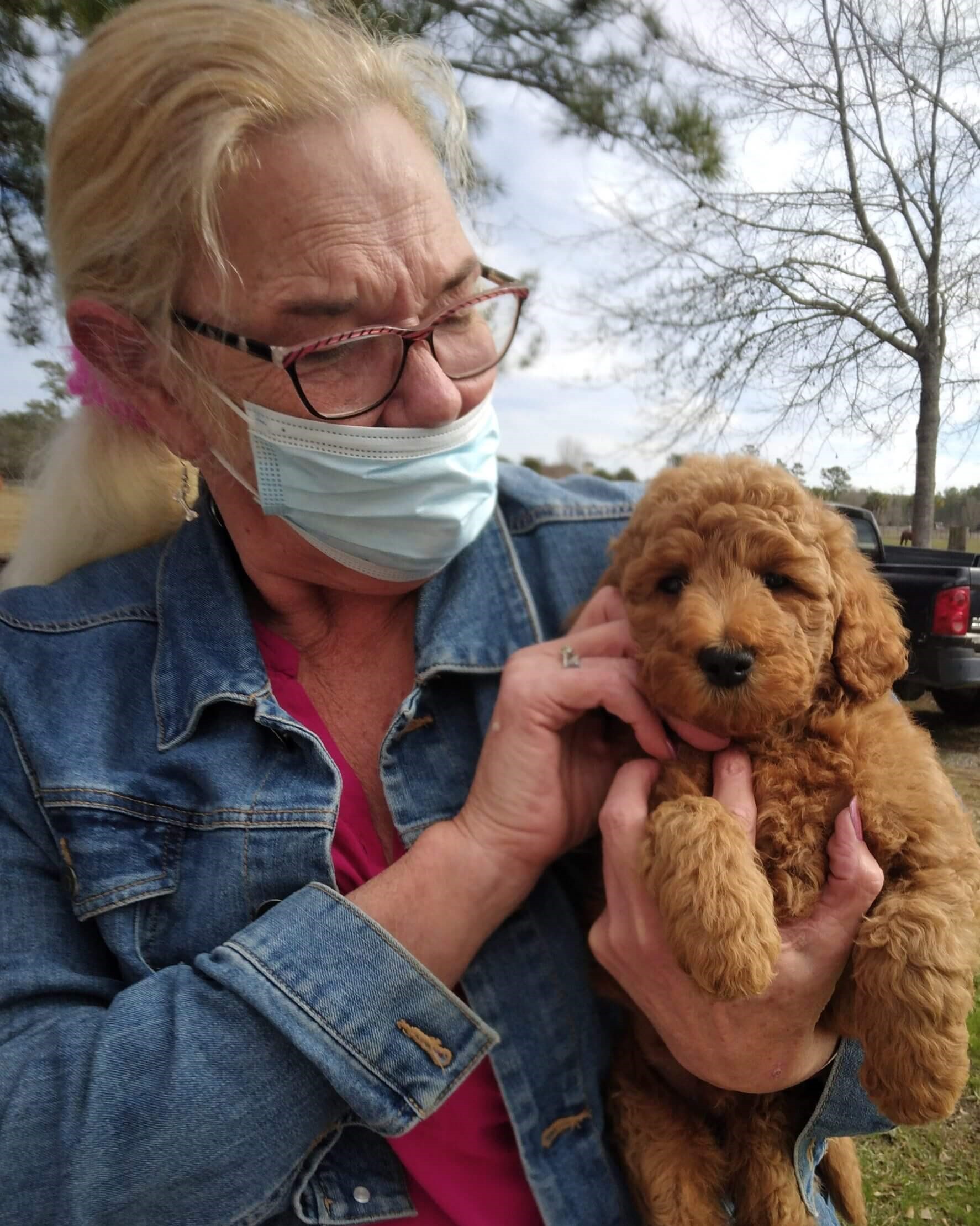 An older woman wearing glasses, a blue face mask, and a denim jacket gently holds a curly-haired brown puppy outdoors on a cloudy day, preparing for a transporter interview.