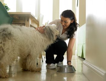 A woman kneels on a tiled floor next to a shaggy dog, holding a metal water bowl, in a well-lit room. Thanks to Best Dog Food Subscription Services like Nom Nom, her furry friend enjoys the healthiest meals.