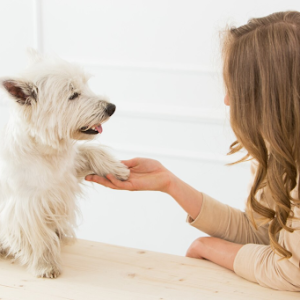 A woman with long hair pats the paw of a small white dog, ensuring her puppy selection is perfect.