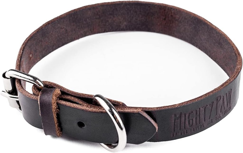A durable brown leather dog collar with a metal buckle and D-ring, perfect for Border Collies. It features embossed text branding and pairs well with matching leashes.