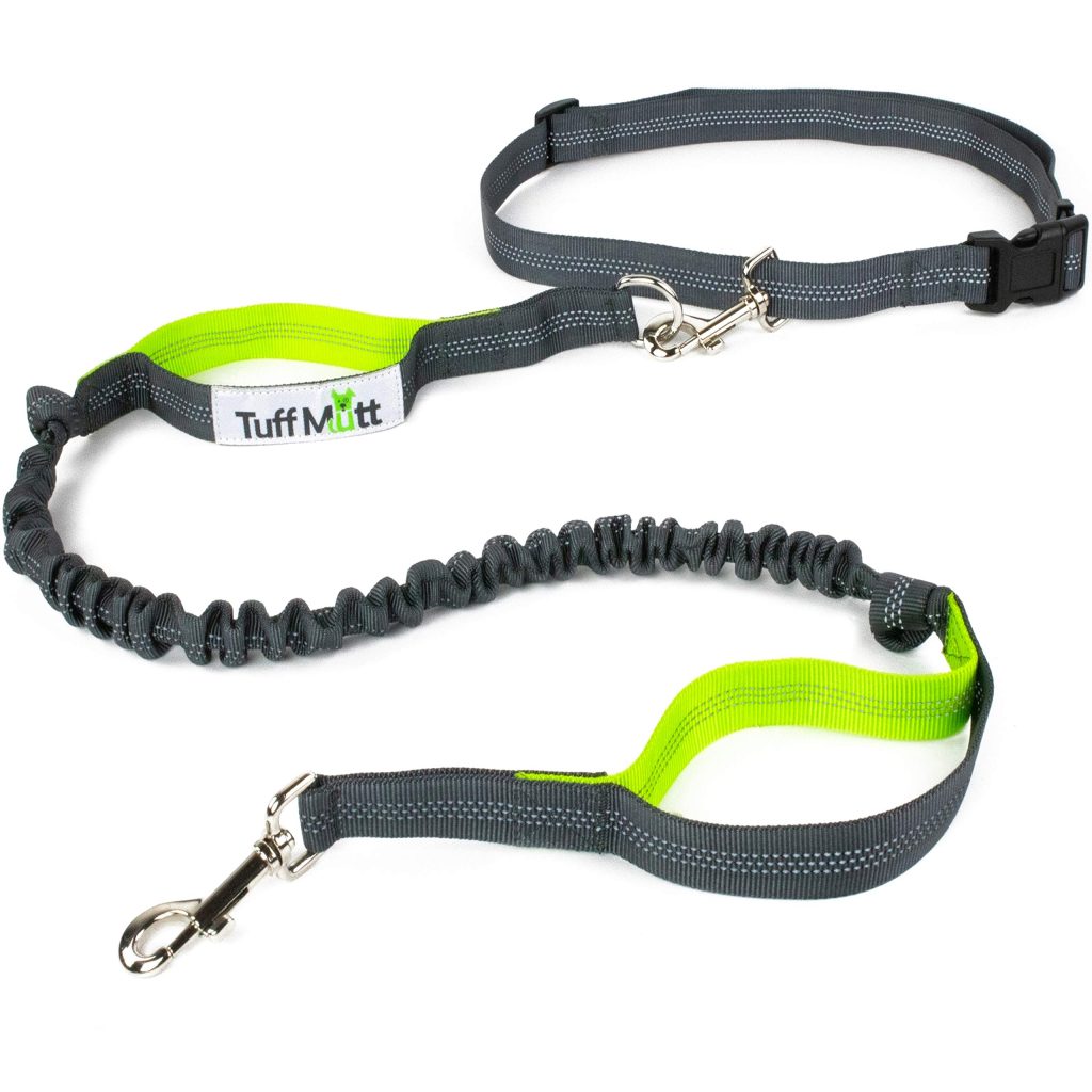The Tuff Mutt dog leash, perfect for Border Collies, features a gray and green design with a bungee cord section and durable metal clip.