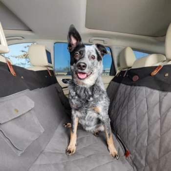 A dog sits on a quilted car seat cover in the backseat of a vehicle, looking forward with one ear perked up. This essential item is perfect for protecting seats while making travel comfortable, and it tops the list of must-have gifts for any pet-loving family.