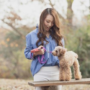 A woman in a blue shirt stands outdoors, holding a leash attached to a small toy poodle perched on a wooden bench.