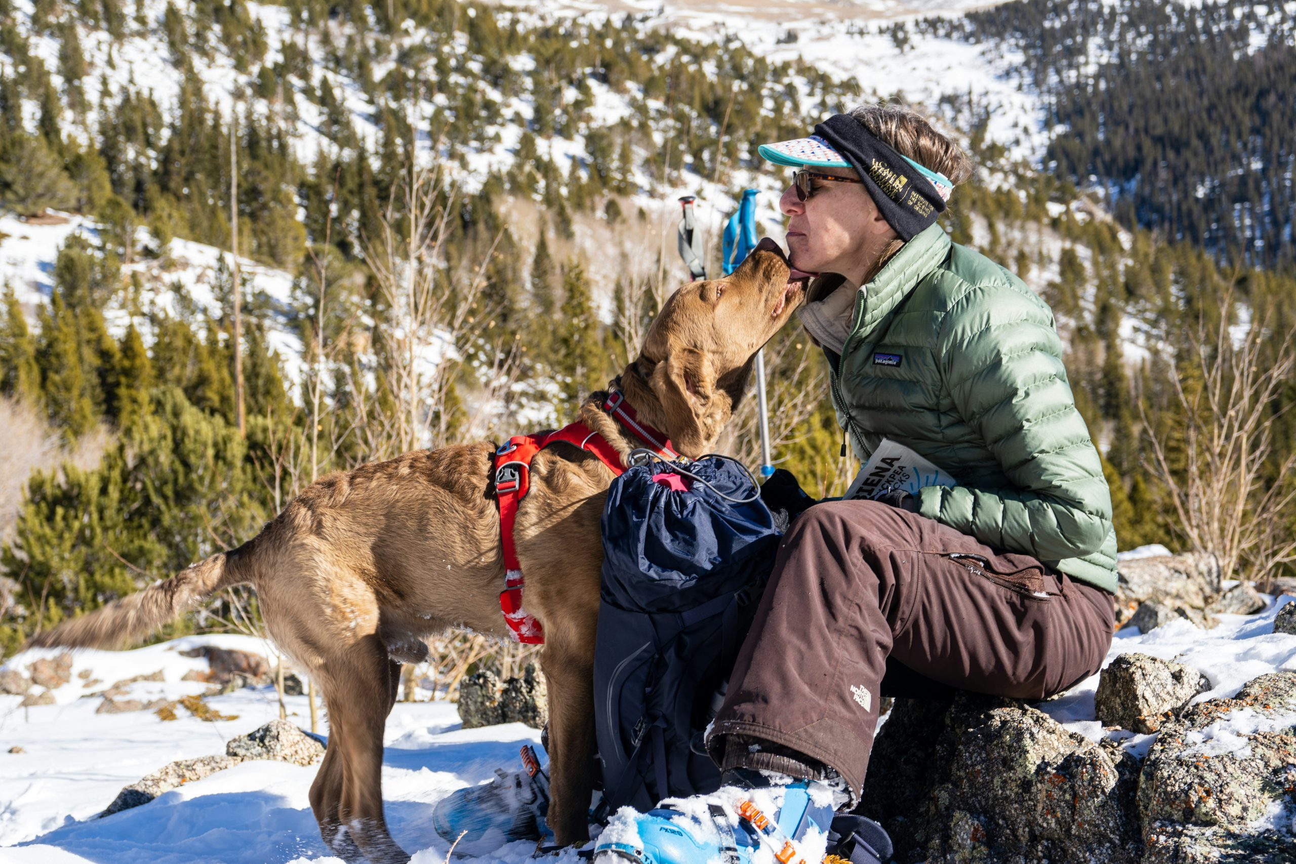 A person in winter clothing sits on rocks in a snowy mountain landscape while a brown labrador wearing a red harness licks their face.