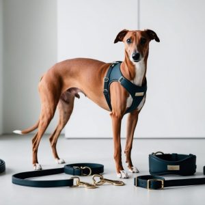 A sleek brown dog, perhaps a Whippet, stands indoors adorned in a blue harness amidst an array of colorful leashes and collars, showcasing the latest in dog gear.
