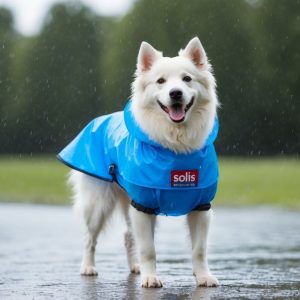 A white American Eskimo Dog wearing essential rain gear—a blue raincoat—stands on a wet path. It's raining lightly, and the background shows green trees.