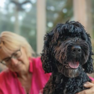 A person in a pink shirt is holding a smiling black dog indoors with a window in the background.