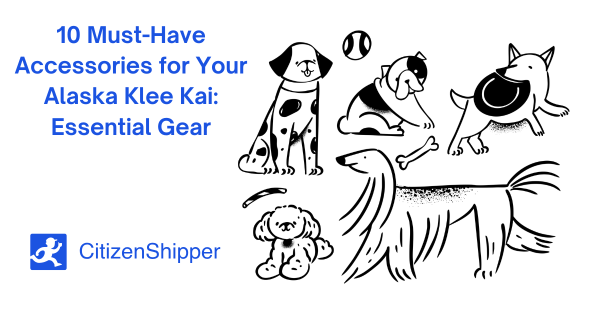 Illustrated dogs with the text "10 Must-Have Accessories for Your Alaska Klee Kai: Essential Gear" and the CitizenShipper logo prominently displayed, making it a must-see for Alaska Klee Kai enthusiasts.