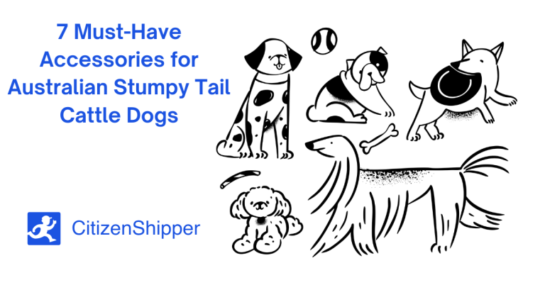 Illustration of various dogs, including an Australian Stumpy Tail Cattle Dog, with the text: "7 Must-Have Accessories for Your Australian Stumpy Tail" and a CitizenShipper logo.