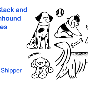 Illustration of black and tan coonhound breeds with toys and bones. Text highlights "7 Popular Black and Tan Coonhound Names" alongside the CitizenShipper logo.