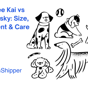 Illustration of various dog breeds with text: "Alaska Klee Kai vs Siberian Husky: Size, Temperament & Care" and "CitizenShipper." Discover the unique traits of the Alaska Klee Kai in comparison to its larger cousin, the Siberian Husky.
