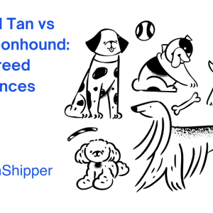 Illustration of various dog breeds, including a spotted dog, a running dog with floppy ears, and a fluffy small dog. The text "Black and Tan vs Bluetick Coonhound: Key Breed Differences" is prominently featured to highlight the charming diversity among these lovable companions.
