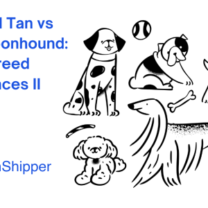Illustrations of various dogs accompany the title "Black and Tan Coonhound vs Bluetick Coonhound: Key Breed Differences II," featuring the CitizenShipper logo.