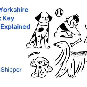 Illustration of different dog breeds with text: "Chorkie vs Yorkshire Terrier: Key Differences Explained." CitizenShipper logo included. Explore the unique traits of each breed in this detailed comparison.