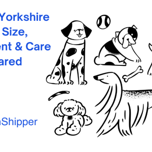 Illustration of various dogs in playful poses, featuring text that discusses the differences between a Chorkie and a Yorkshire Terrier, focusing on size, temperament, and care.